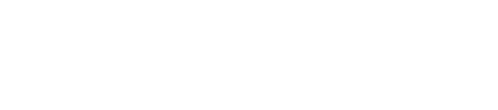Snipechain logo — white-label crypto exchange, DEX and blockchain platforms worldwide